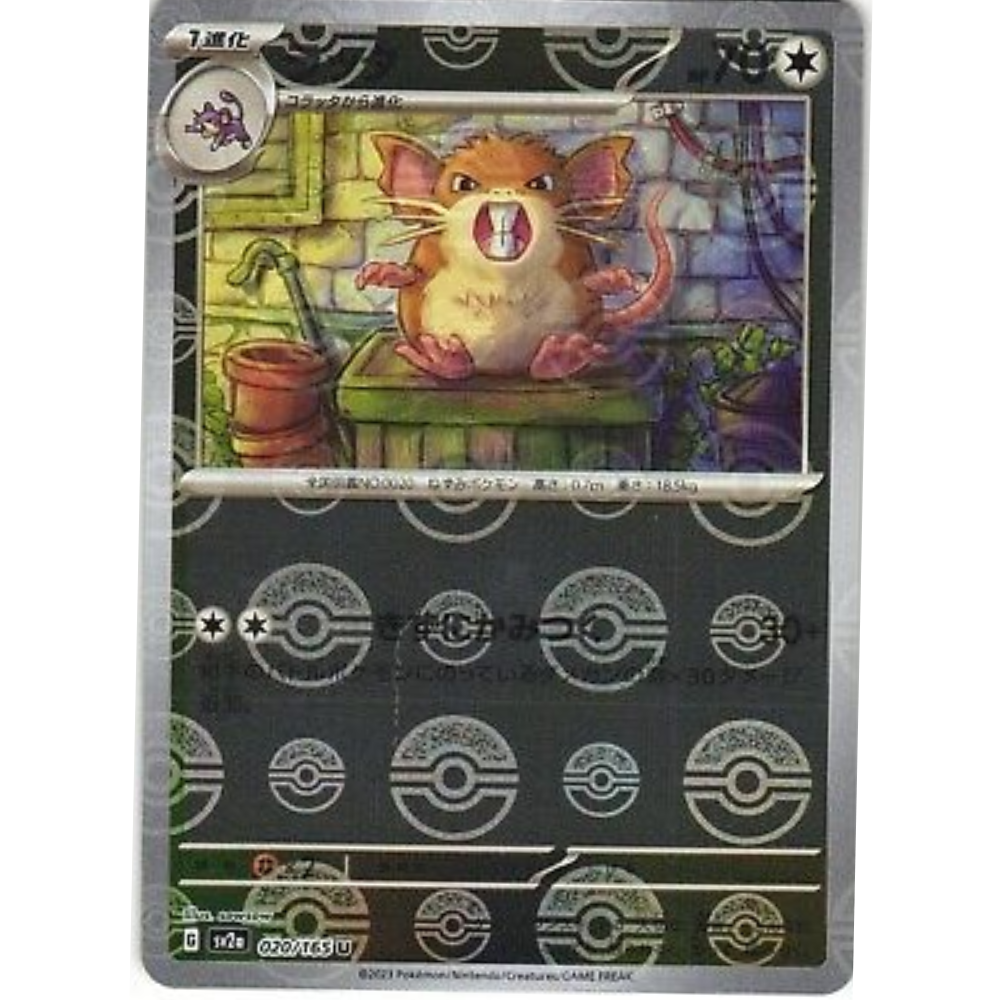 Raticate SV2a 020/165 Poke ball Reverse Holo - Pokemon Card