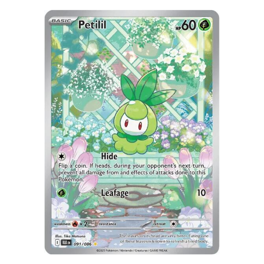 911 pokemon card Petilil BLK 091/086
