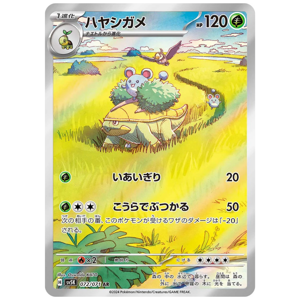 pokemon grotle card Pokmon Hit Points100 HP Form Grotle 072/071 AR Full Art