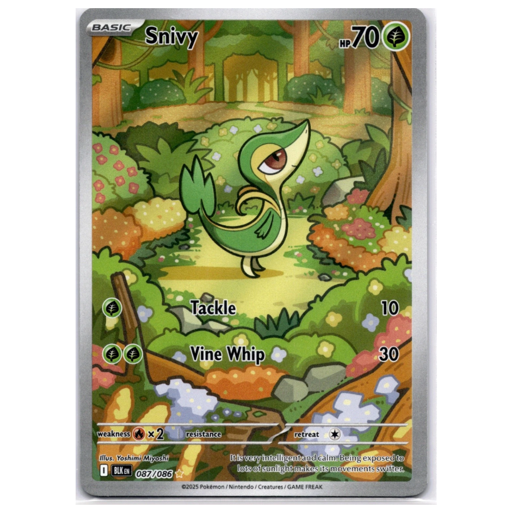 pokemon card snivy BLK 087/086 White Legendary Treasures Radiant Grading Choice Of Pokemon Sanji Case Color:Art Insert Only