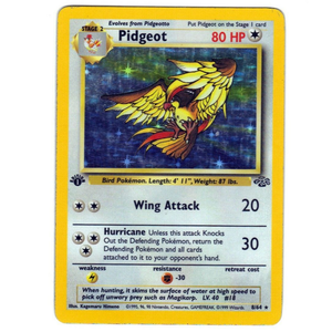 Pidgeot JU 8/64 Holo