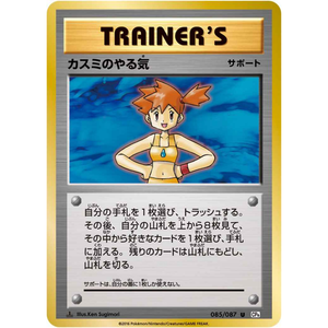 Trainer Misty's Determination 085/087