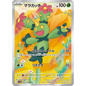 Maractus SV11B 093/086 AR