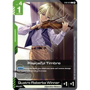 Peaceful Timbre ST02-013 C