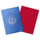 Dragon Shield X Magic: The Gathering Izzet League Guildpact Series Sleeves (100 ST)