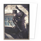 Dragon Shield: Catwoman Brushed Art Standard Sleeves (100 ST)