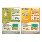 Pokémon Scarlet & Violet: Dragonite & Mewtwo & Camelta & Lai Bei Cough Tea Happy Card Happy Combo Box (CH)