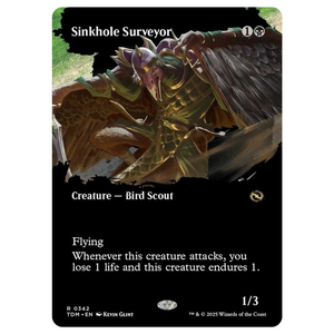 Sinkhole Surveyor 0342 R