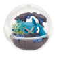Re-Ment: Pokémon Glass Container Terrarium Collection 14 Figure Series (Random)